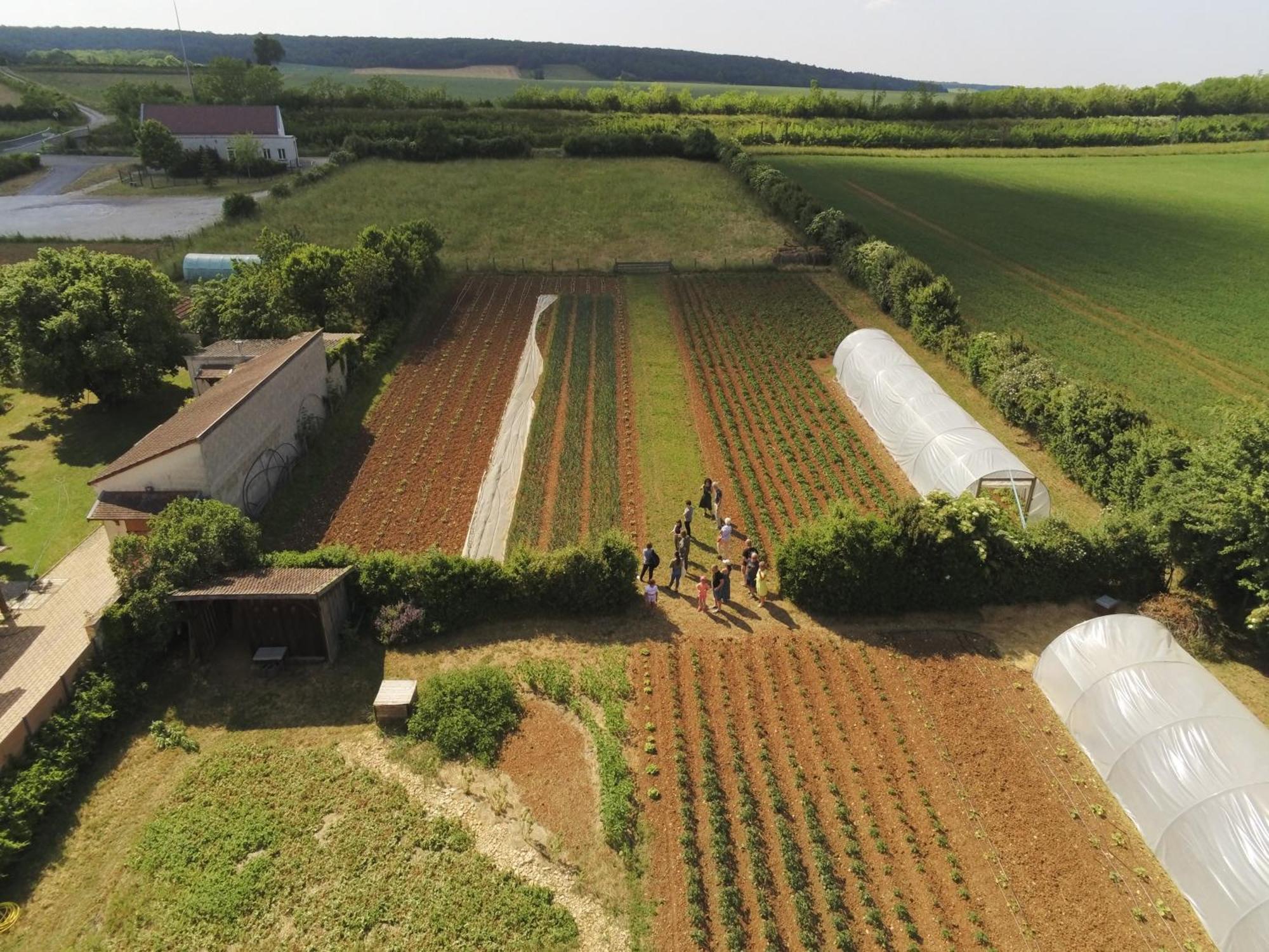 Le Concept-Studio Perrigny-sur-Armançon Esterno foto